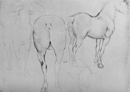 'Four Sketches of Horses', c1480 (1945). Artist: Leonardo da Vinci.