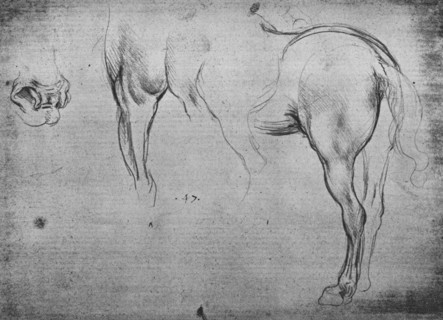 'Three Sketches of a Horse's Hind-Quarters and one of its Nostrils', c1480 (1945). Artist: Leonardo da Vinci.