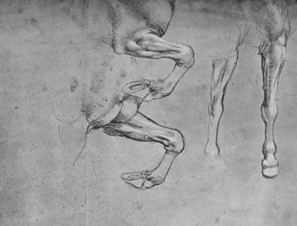 'Four Studies of Horses' Legs', c1480 (1945). Artist: Leonardo da Vinci.