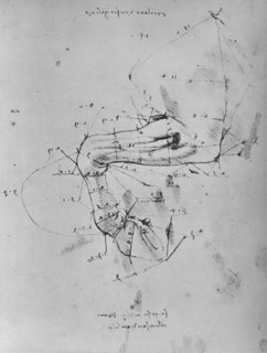 'Measured Drawing of the Near Fore-Leg of a Horse', c1480 (1945). Artist: Leonardo da Vinci.