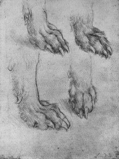 'Four Studies of the Paws of a Dog or Wolf', c1480 (1945). Artist: Leonardo da Vinci.