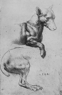 'Studies of the Forepart and Hind-Quarters of a Dog', c1480 (1945). Artist: Leonardo da Vinci.