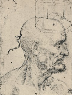'Profile to Right of a Bald Man, c1480 (1945). Artist: Leonardo da Vinci.