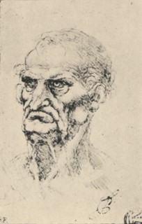 'Head of an Old Man Three-Quarters to the Left', c1480 (1945). Artist: Leonardo da Vinci.