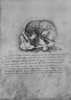 'Anatomical Drawing of a Skull to the Left', c1480 (1945). Artist: Leonardo da Vinci.
