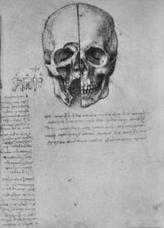 'Drawing of Two Halves of a Skull', c1480 (1945). Artist: Leonardo da Vinci.