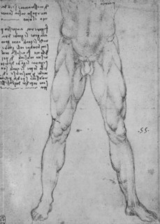 'Study of the Lower Half of a Nude Man Facing to the Front', c1480 (1945). Artist: Leonardo da Vinci.
