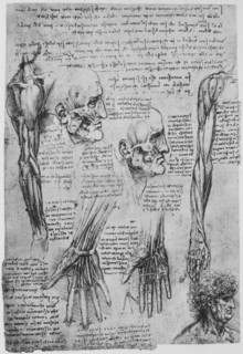 'Studies of the Muscles of the Face and Arm', c1480 (1945). Artist: Leonardo da Vinci.