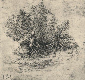 'Two Trees on the Bank of a Stream', c1480 (1945). Artist: Leonardo da Vinci.