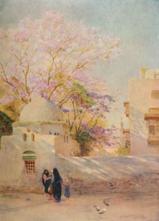 'The Jacaranda', c1905, (1912). Artist: Walter Frederick Roofe Tyndale.
