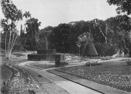 'The Fernery, Peradeniya Gardens, Ceylon', c1890 (1910). Artist: Alfred William Amandus Plate.