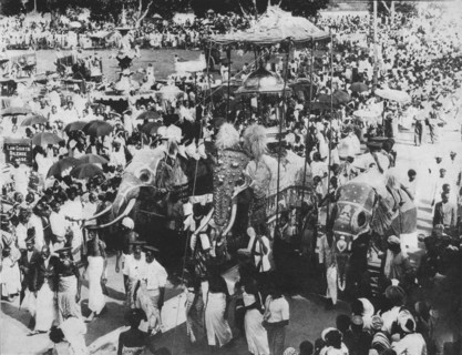 'Sacred Elephant in the Perahera Procession, Kandy, Ceylon', c1890, (1910). Artist: Alfred William Amandus Plate.