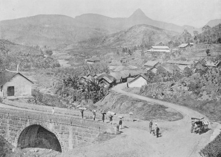 'View of Maskeliya showing Adam's Peak', c1890, (1910). Artist: Alfred William Amandus Plate.
