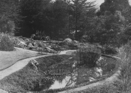 'The Rock Garden, Hakgalla Gardens, Nuwara Eliya', c1890, (1910). Artist: Alfred William Amandus Plate.