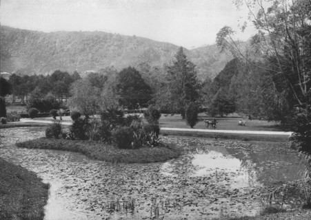 'Hakgalla Gardens from the Lotus Pond, Nuwara Eliya', c1890, (1910). Artist: Alfred William Amandus Plate.