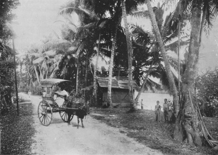 'Road Beside the Kelaniya River', c1890, (1910). Artist: Alfred William Amandus Plate.