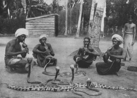 'Snake Charmers', c1890, (1910). Artist: Alfred William Amandus Plate.