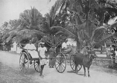 'Rickshaw and Racing Hackery', c1890, (1910). Artist: Alfred William Amandus Plate.