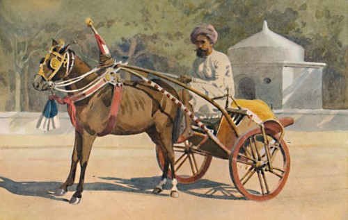'A Benares Ekka', c1880 (1905). Creator: Alexander Henry Hallam Murray.