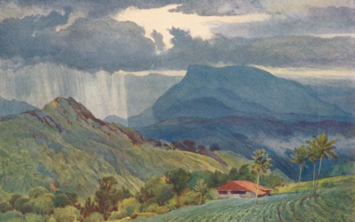 'A Tropical Shower', c1880 (1905). Creator: Alexander Henry Hallam Murray.
