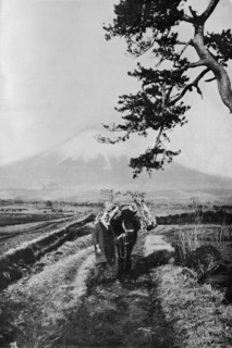 'Peasants of the region of Fuji not by name but merely as O Yama, the Honourable Mountain, c1900,  Artist: Julian Leonard Street.