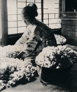 '5000 silkworms eat 125 lbs of mulberry for 8 skeins of silk, making one kimono', c1900, (1921). Artist: Julian Leonard Street.