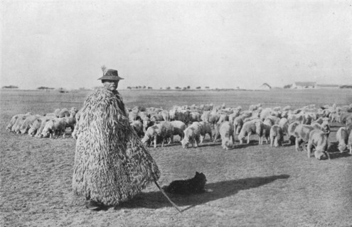 'A typical shepherd and his flock on the plains of Hungary', 1915. Artist: Unknown.