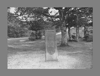 Rufus Stone, New Forest Hants, c1900. Artist: Poulton & Co.
