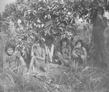 'Nambikwara Indians of the State of Matto Grosso, pacified by Colonel Rondon, but not yet fully dr Artist: Unknown.