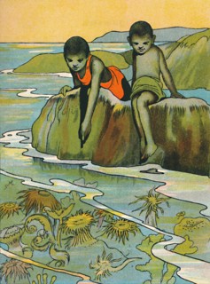 'A Garden in the Sea', 1912. Artist: Charles Robinson.