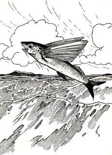 'The Flying Fish', 1912. Artist: Charles Robinson.