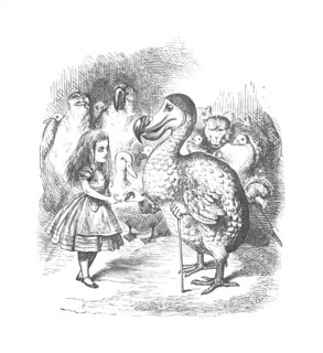 'Alice and the Dodo', 1889. Artist: John Tenniel.