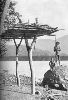 Mortuary platform in New Guinea, 1902. Artist: W Lindt.