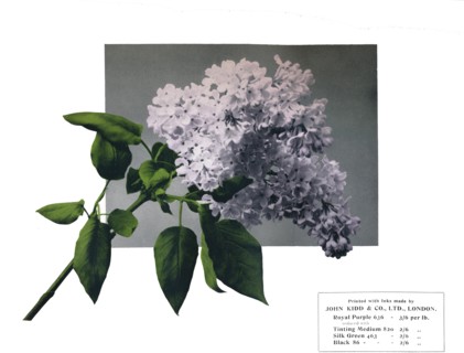 'No title - John Kidd'& Co. Ltd.'s sample', 1910. Artist: Unknown.