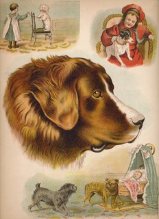 'The Dog', c1900. Artist: Helena J. Maguire.