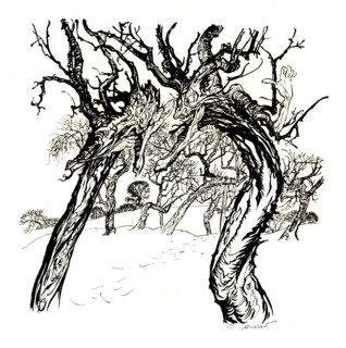 'Whispering Trees, From 'A Dish of Apples', 1917, (1923). Artist: Arthur Rackham.