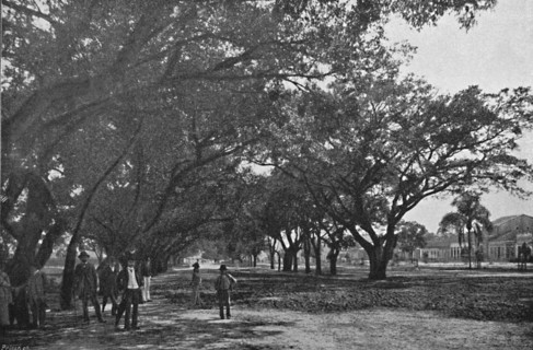 'Avenida de Tiradentes', 1895. Artist: Paulo Kowalsky.