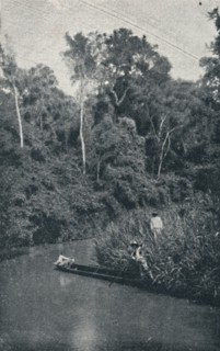 'Rio de S. Anastacio', 1895. Artist: Francisco Henszler.