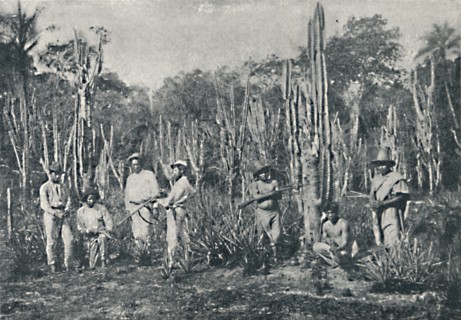 'Campos', 1895. Artist: Francisco Henszler.