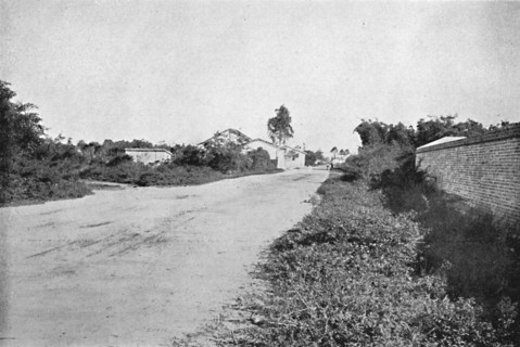'Colonia de S. Bernardo', (Colony of Sao Bernardo do Campo), 1895. Artist: Axel Frick.