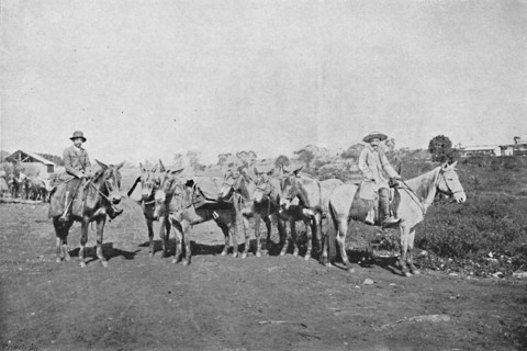 'Negociantes do Interior', (Traders of the Interior), 1895. Artist: Axel Frick.