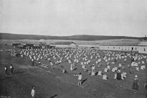'Terreiro para seccar o Cafe', (Coffee Drying and Packaging), 1895. Artist: Axel Frick.