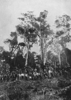 'Matta Virgem', 1895. Artist: Axel Frick.