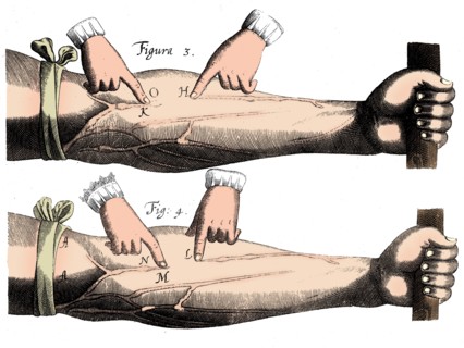 Circulation of the blood, 1628. Artist: Unknown.