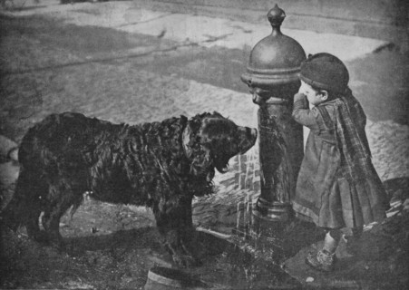 He liveth best who loveth best, All things great and small, 1900. Artist: Charles Read.