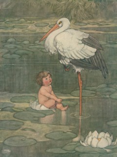 'The Bud Opened Into A Full-Blown Flower', c1930. Artist: W Heath Robinson.