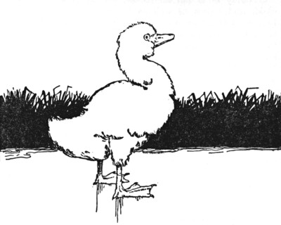 'He Came to a Wide Moor', c1930. Artist: W Heath Robinson.