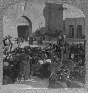 'Buying goats at the Damascus Gate, Jerusalem', c1900. Artist: Unknown.