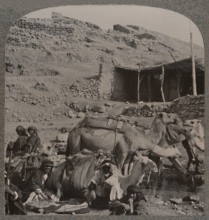 'Camel train from Jerash, watering at the Fountain of Elisha', c1900. Artist: Unknown.