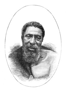 'Kreli, Chief of the Galekas', 1877, (c1880). Artist: Unknown.
